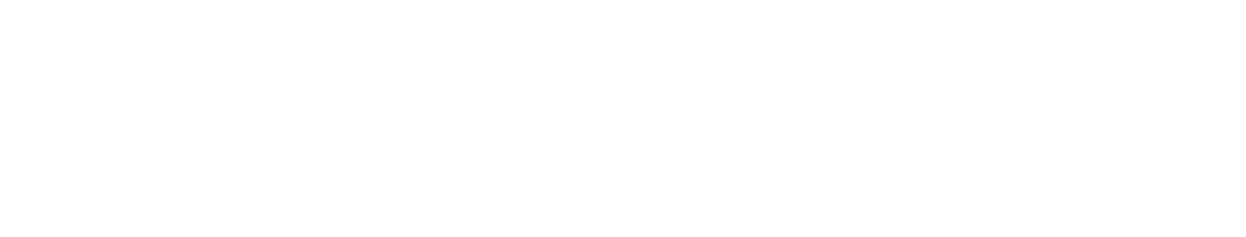 Tallyvision